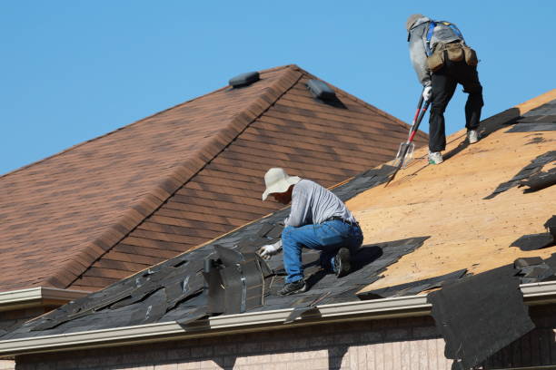 Best Storm Damage Roof Repair  in La Grange, IL