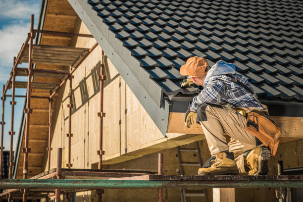 Best Roof Maintenance and Cleaning  in La Grange, IL