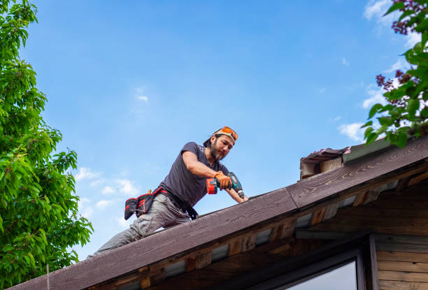 Trusted La Grange, IL Roofing services Experts
